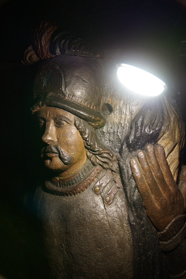 W poszukiwaniu śladów po owadach