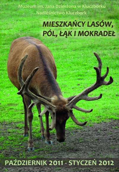 mieszkancy lasow