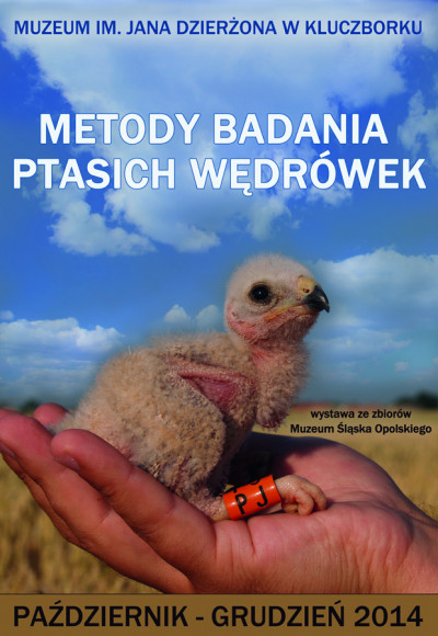 Ptaszki plakat