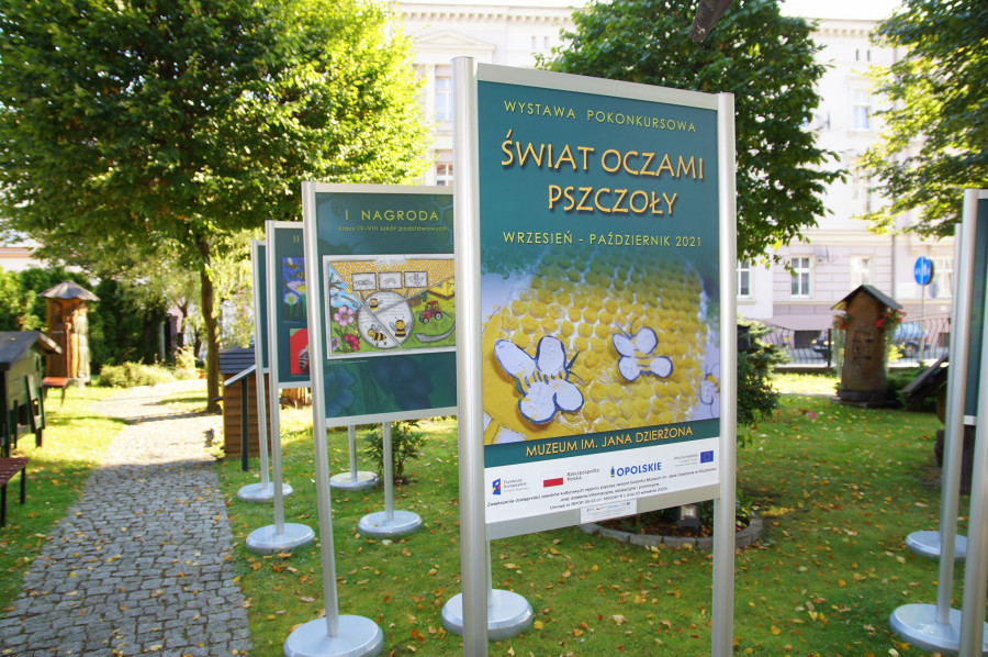 Świat oczami pszczoły - fragment ekspozycji