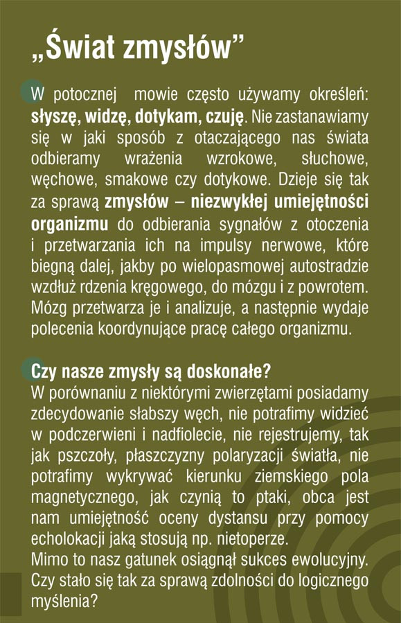 Świat zmysłów - ulotka