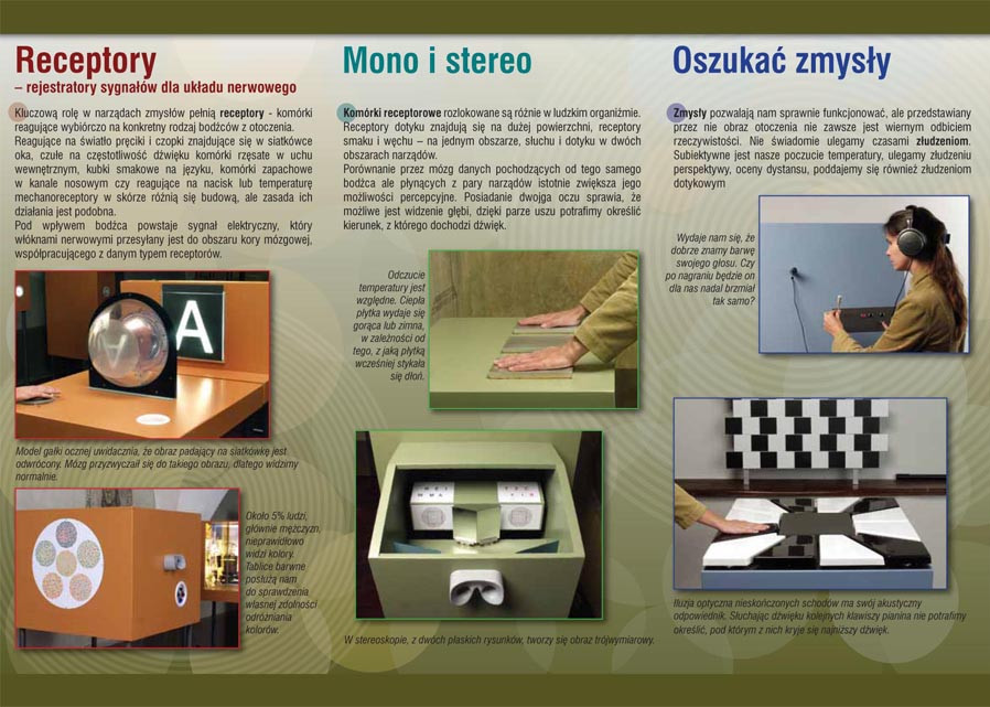 Świat zmysłów - ulotka
